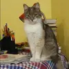 Отзыв от Фаина Горюнова
